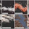 Which Salt To Use