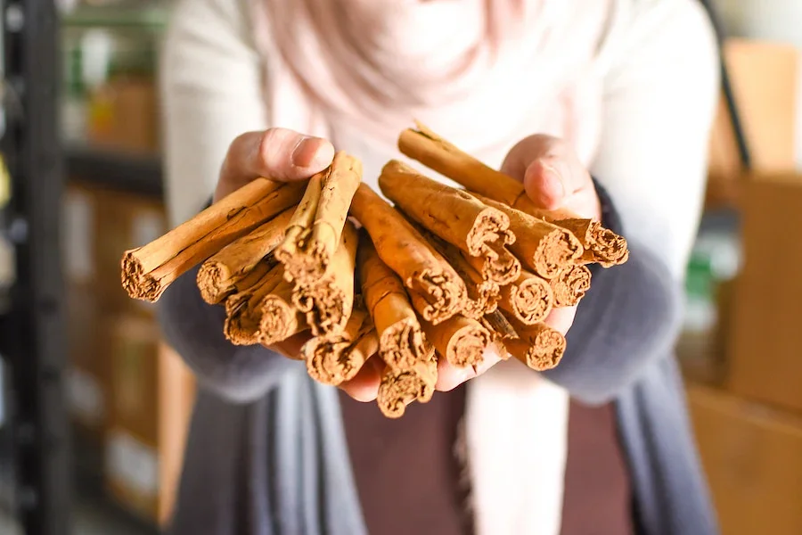 Spice Science: Cinnamon